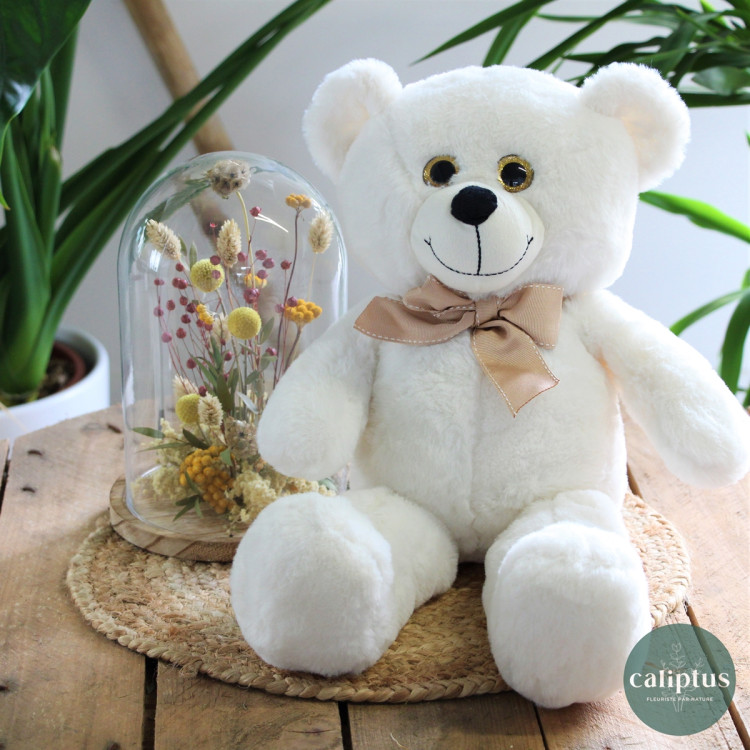 Ourson blanc Peluche Oursons pas cher caliptus