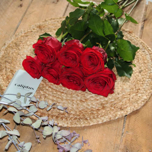 Rose Red Eagle Rouge à la tige - 60cm Composez votre bouquet en ligne caliptus
