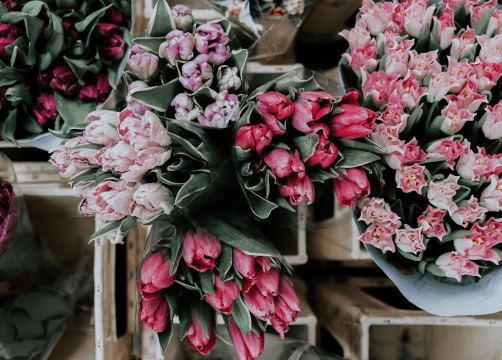 livraison bouquet de fleurs caliptus