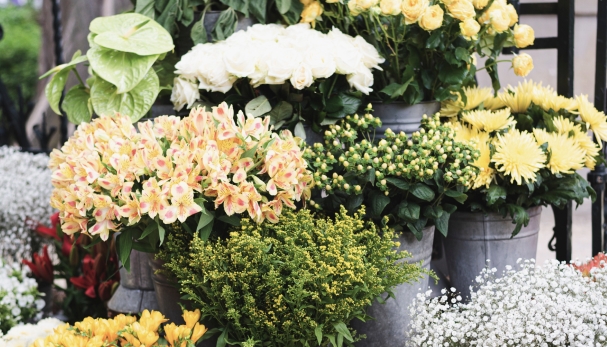 Abonnement bouquet fleurs | Box de fleurs chaque mois | Caliptus