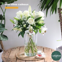 Célébrez l’été avec nos idées cadeaux 🌻 

Découvrez notre collection sur notre boutique en ligne et laissez-vous inspirer !  Lien dans la bio ⬆️
 
Le plus de Caliptus 🌿 Vous pouvez personnaliser votre cadeau avec une jolie carte ou un mot doux de votre part 💌
.
.
.
.
.
#caliptus #caliptusfleuriste #fleurs #bouquetdefleurs #offrirdesfleurs #fleuriste #artisanfleuriste #livraisondefleurs #livraisonpartoutenfrance #fleursdesaison #roses #lys #idéescadeaux #été #summer #summerflower #flowerstagram #blumen #passionfleurs #bouquetoftheday