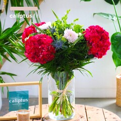 Opulente et voluptueuse, découvrez la nouvelle création de nos fleuristes 💐 Sa majesté l’hortensia s’associe à des chrysanthèmes, des lysimaques et des chardons pour former un bouquet des plus envoûtants. 

Si vous aussi, vous craquez pour cette composition, rendez-vous sur caliptus.fr ! Lien dans la bio ⬆️
.
.
.
.
.
#caliptus #caliptusfleuriste #fleurs #bouquetdefleurs #offrirdesfleurs #fleuriste #artisanfleuriste #livraisondefleurs #livraisonpartoutenfrance #fleursdesaison #hydrangea #hortensia #été #summer #summerflower #flowerstagram